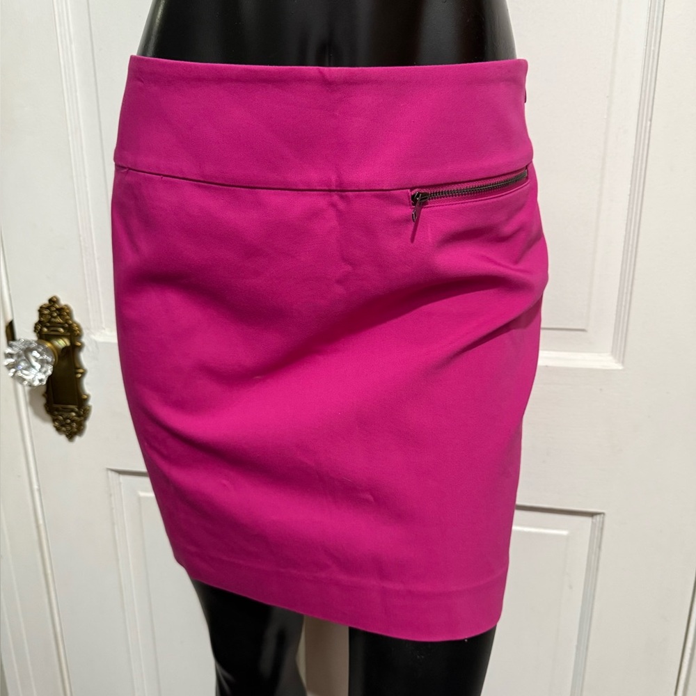 NEW Ann Taylor Petite 2P Pink Purple Skirt